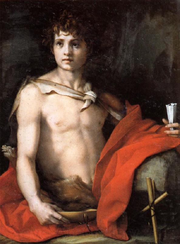 Andrea del Sarto The Young St.John Spain oil painting art